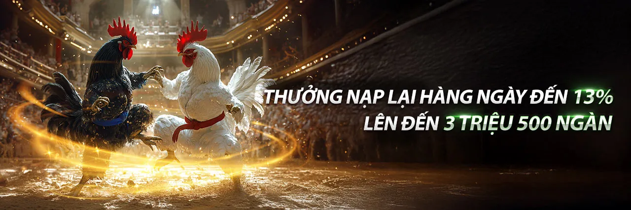 Đấu trường đá gà trực tuyến sôi động tại 33win68